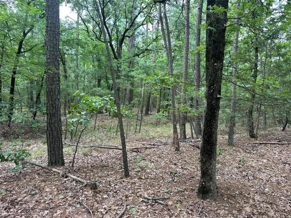 1 Johns Valley Road Moyers, OK 74557