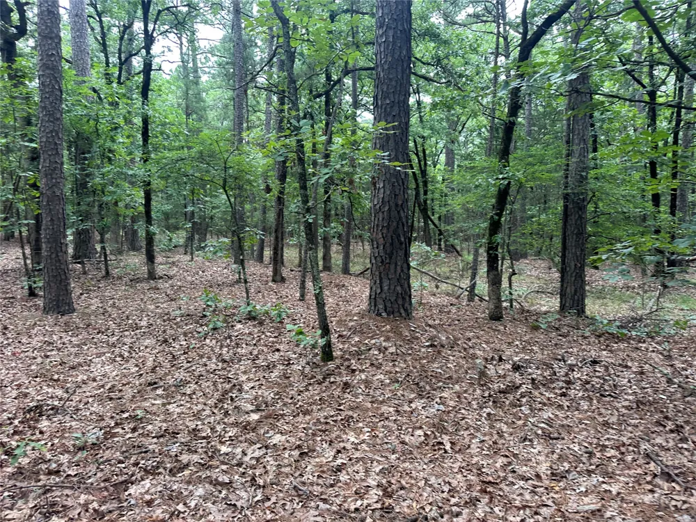 1 Johns Valley Road Moyers, OK 74557