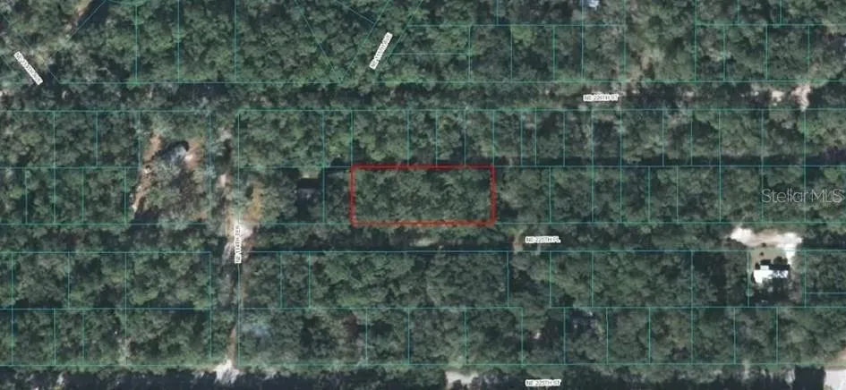 225TH PLACE Fort Mc Coy, FL 32134