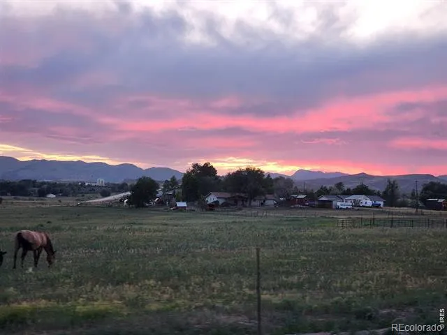 3631 County Road 19 Fort Collins, CO 80524
