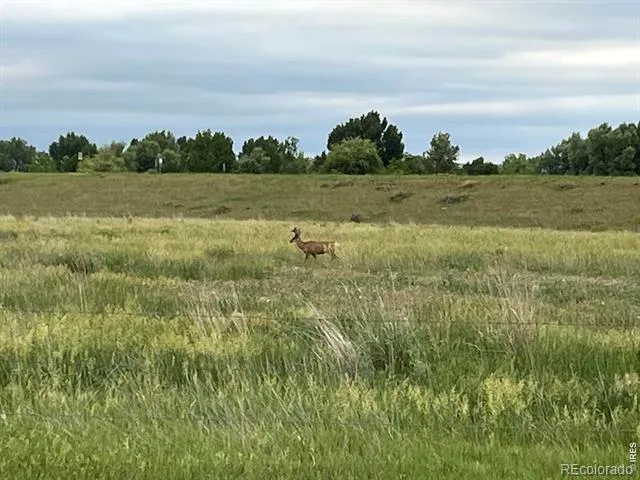 3631 County Road 19 Fort Collins, CO 80524