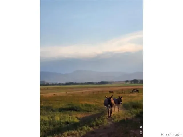 3631 County Road 19 Fort Collins, CO 80524