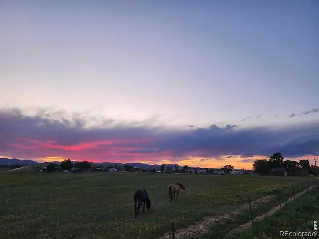 3631 County Road 19 Fort Collins, CO 80524
