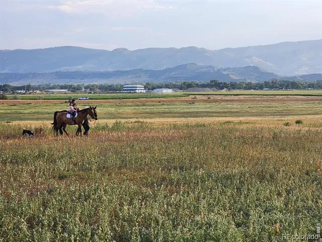 3631 County Road 19 Fort Collins, CO 80524