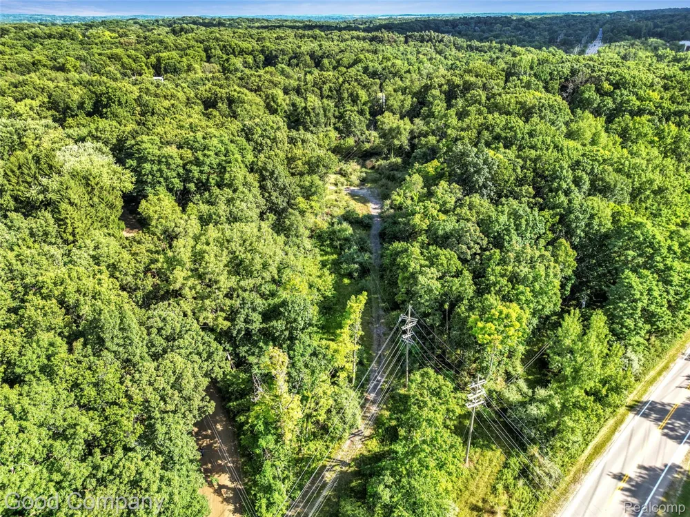 3187 Mapleridge Milford Charter Township, MI 48380