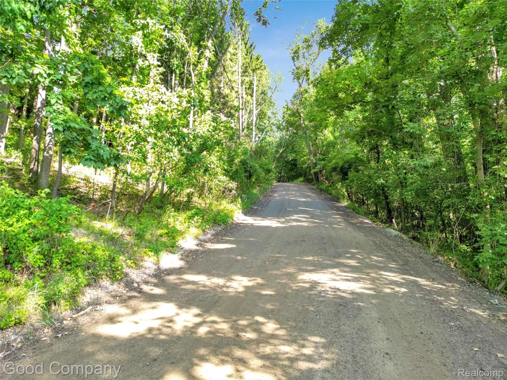 3187 Mapleridge Milford Charter Township, MI 48380