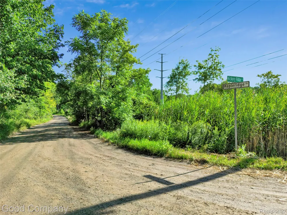 3187 Mapleridge Milford Charter Township, MI 48380