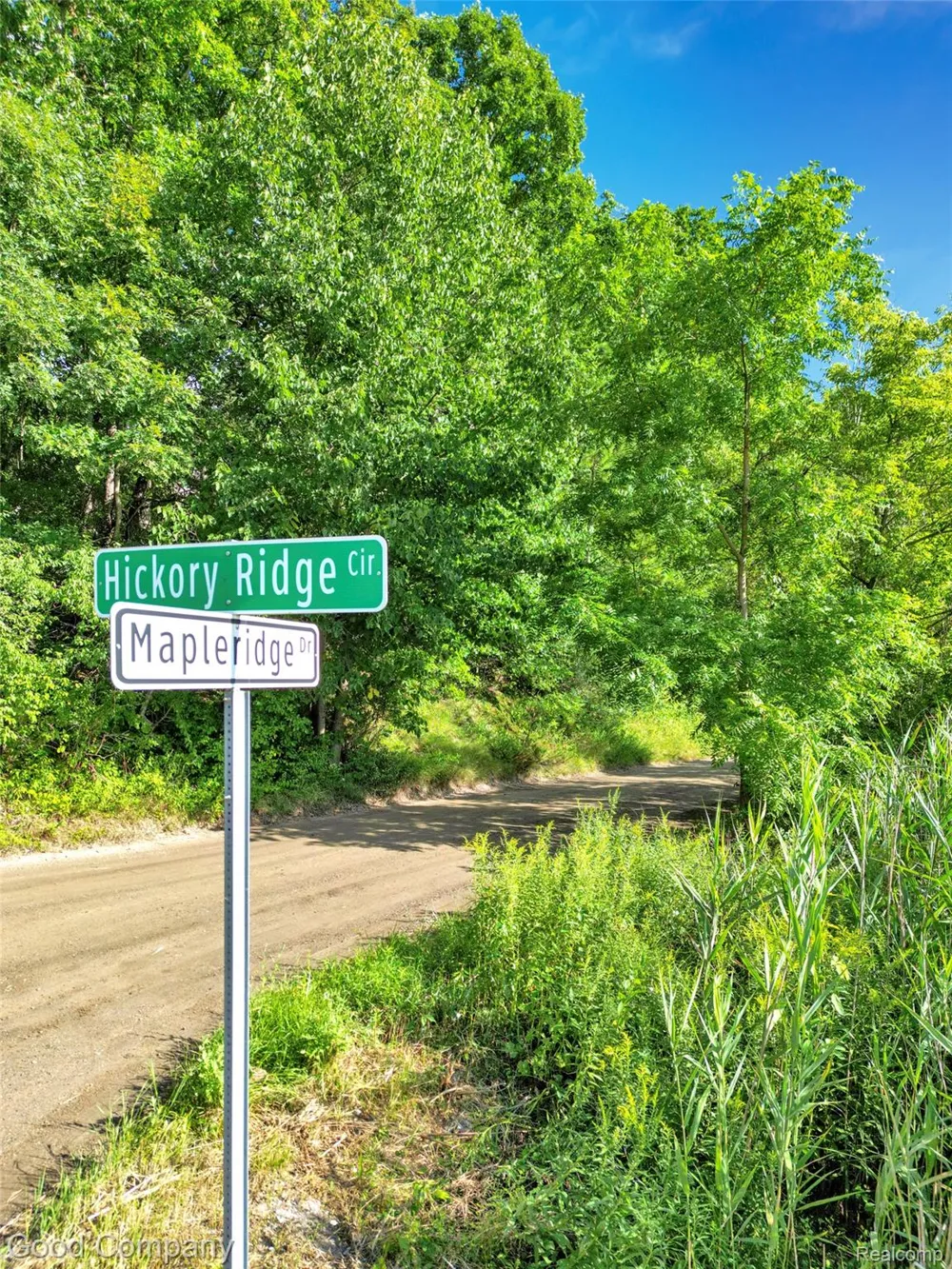 3187 Mapleridge Milford Charter Township, MI 48380