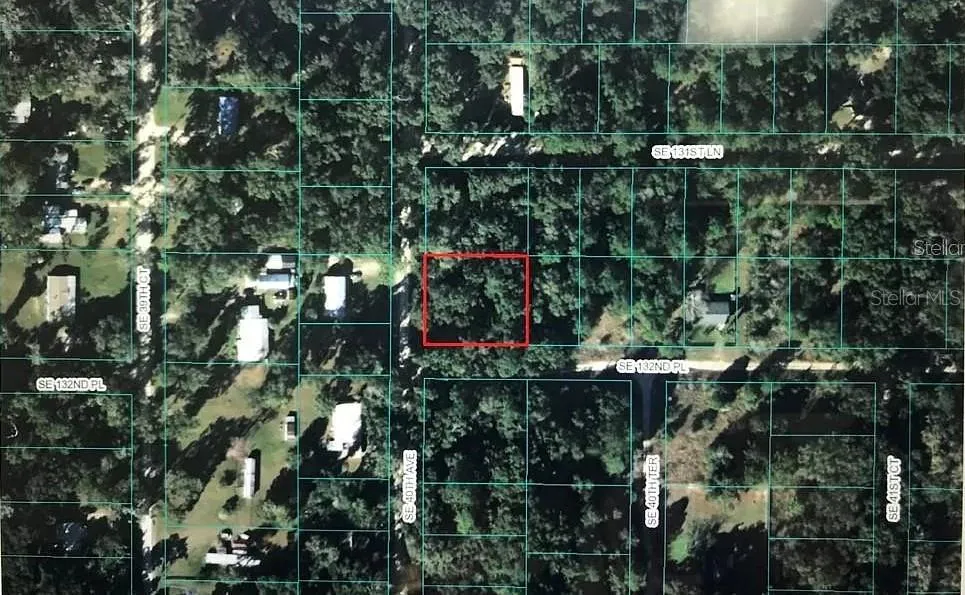 SE 132ND PLACE Belleview, FL 34420