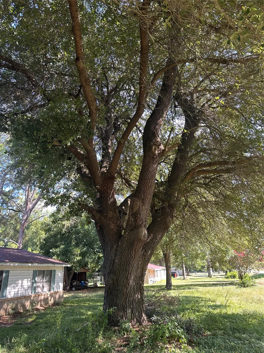 955 Lcr 463 Mexia, TX 76667