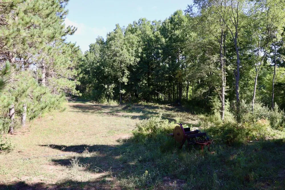 11276 Pine Grove Road NE Vestaburg, MI 48891