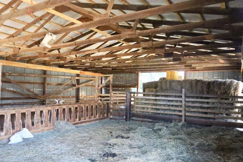 11276 Pine Grove Road NE Vestaburg, MI 48891