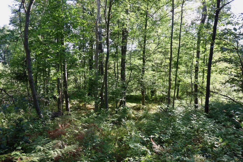 11276 Pine Grove Road NE Vestaburg, MI 48891