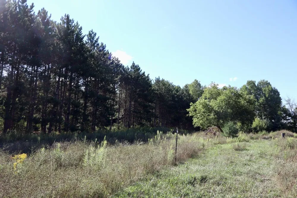 11276 Pine Grove Road NE Vestaburg, MI 48891