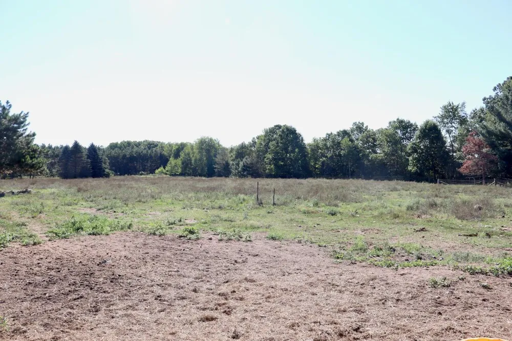 11276 Pine Grove Road NE Vestaburg, MI 48891
