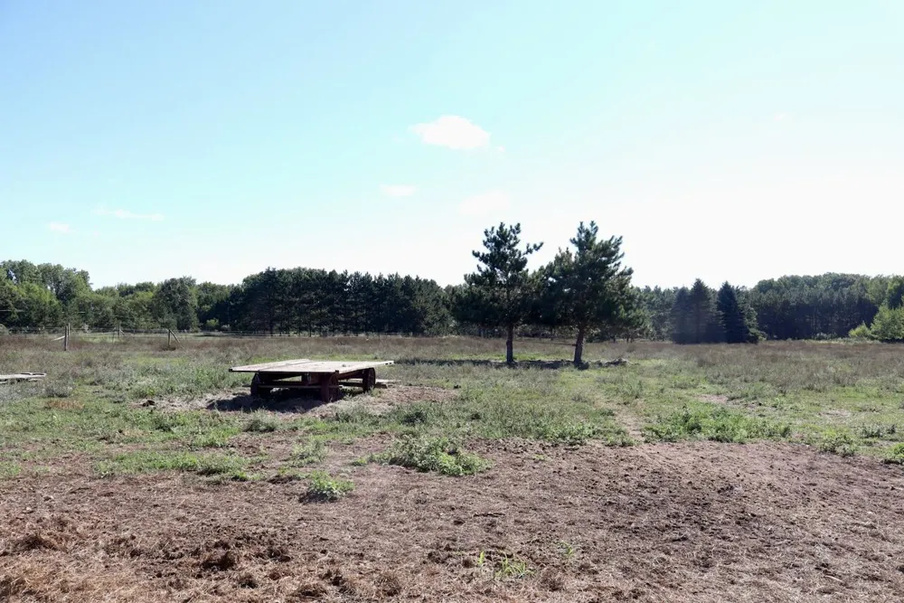 11276 Pine Grove Road NE Vestaburg, MI 48891