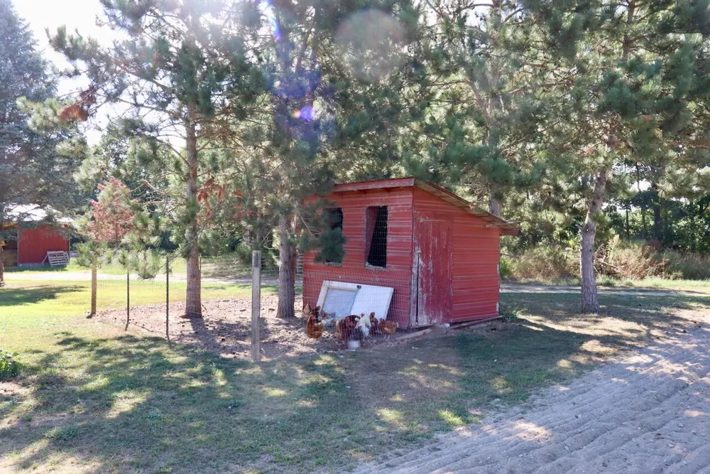 11276 Pine Grove Road NE Vestaburg, MI 48891