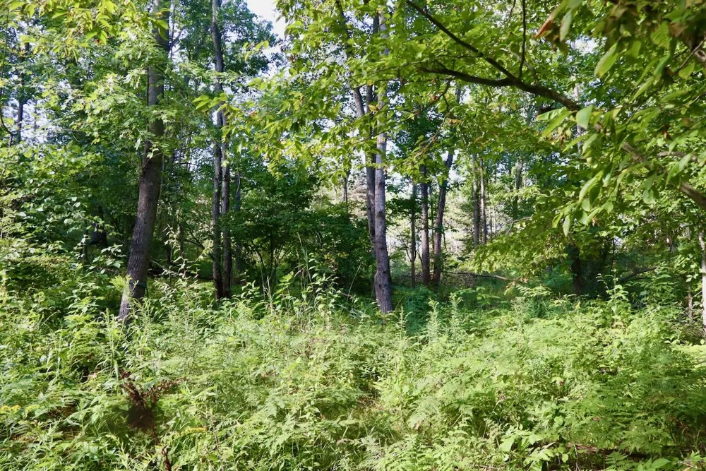 11276 Pine Grove Road NE Vestaburg, MI 48891