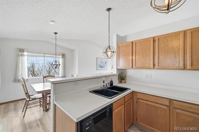 133 Rockaway Avenue Castle Rock, CO 80104