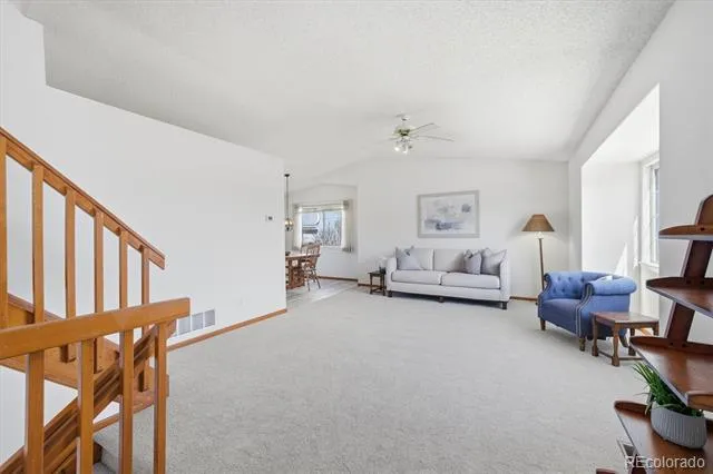 133 Rockaway Avenue Castle Rock, CO 80104