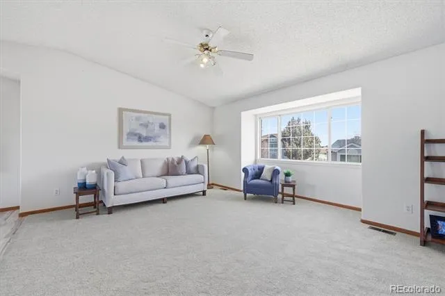 133 Rockaway Avenue Castle Rock, CO 80104