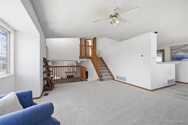 133 Rockaway Avenue Castle Rock, CO 80104