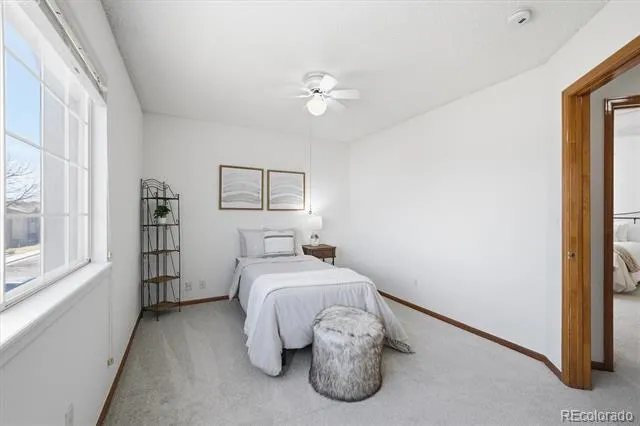 133 Rockaway Avenue Castle Rock, CO 80104