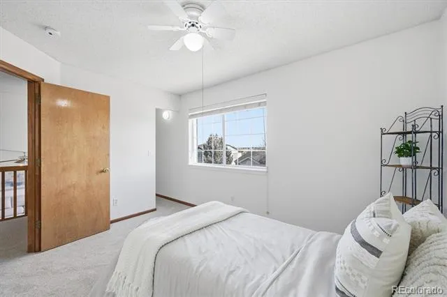 133 Rockaway Avenue Castle Rock, CO 80104