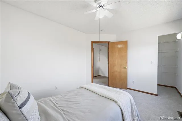 133 Rockaway Avenue Castle Rock, CO 80104