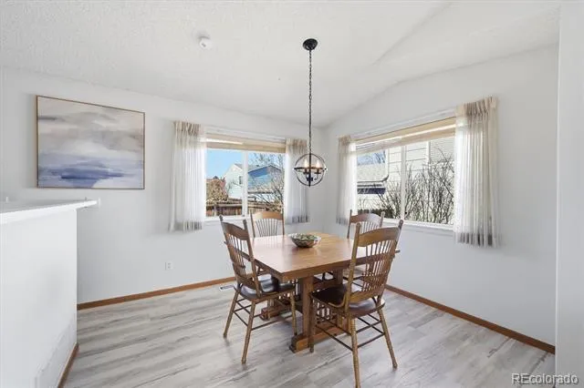133 Rockaway Avenue Castle Rock, CO 80104