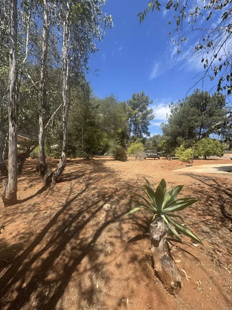 11556 Bridle Path Lane Lakeside, CA 92040