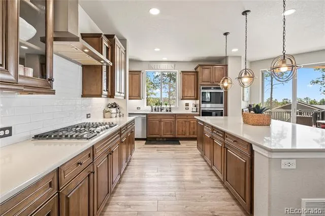 16231 Thunder Cat Way Monument, CO 80132