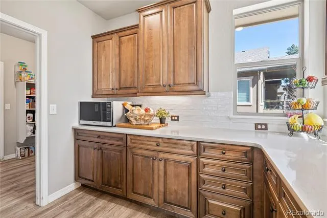 16231 Thunder Cat Way Monument, CO 80132