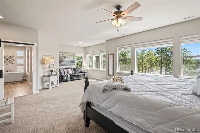 16231 Thunder Cat Way Monument, CO 80132