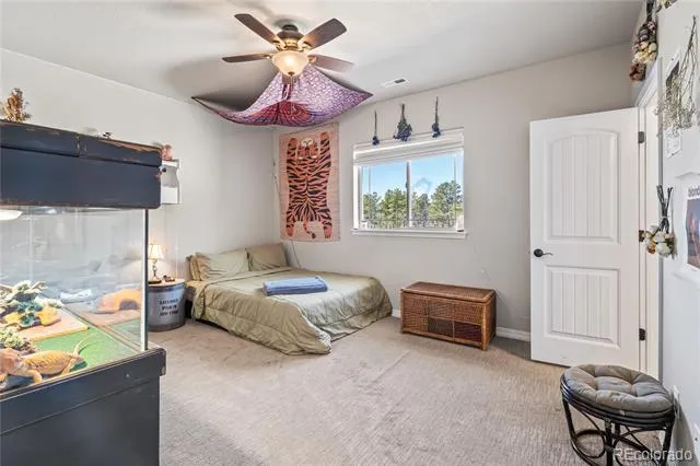 16231 Thunder Cat Way Monument, CO 80132
