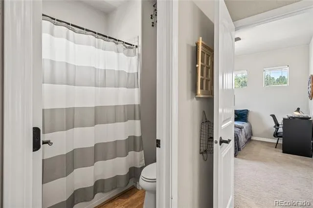 16231 Thunder Cat Way Monument, CO 80132