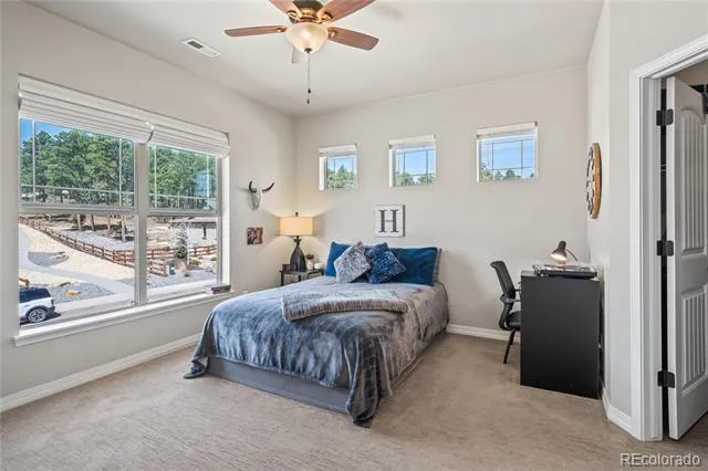 16231 Thunder Cat Way Monument, CO 80132