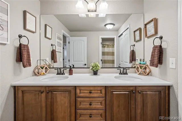 16231 Thunder Cat Way Monument, CO 80132