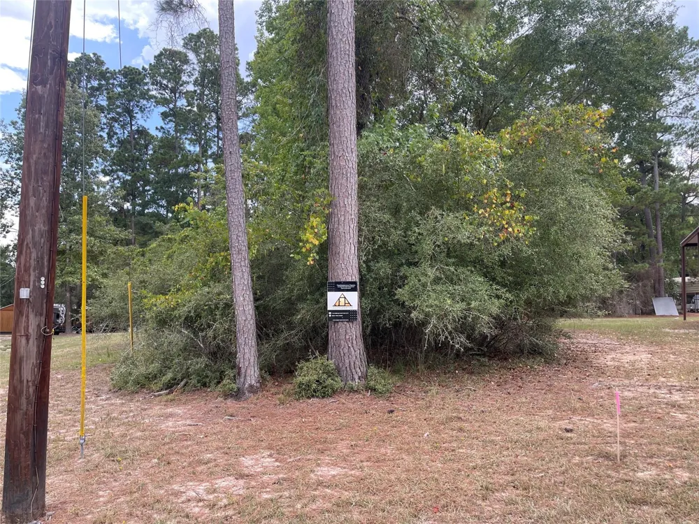 Dogwood Drive Trinity, TX 75862