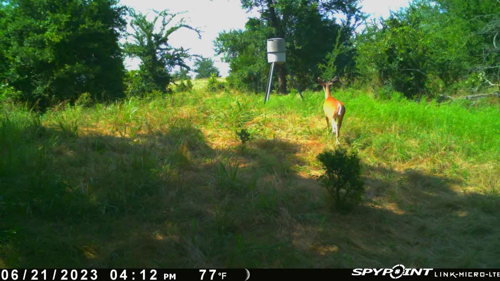 Ti Valley Pass Blanco, OK 74528