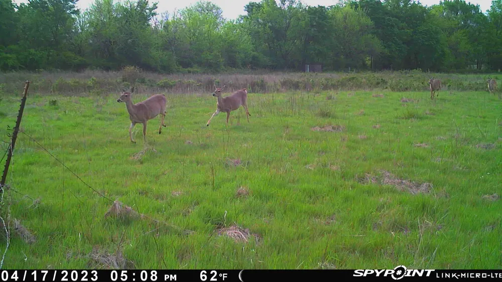 Ti Valley Pass Blanco, OK 74528