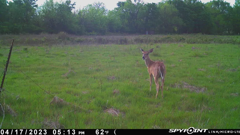 Ti Valley Pass Blanco, OK 74528