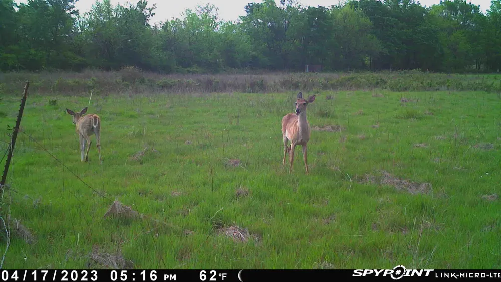 Ti Valley Pass Blanco, OK 74528