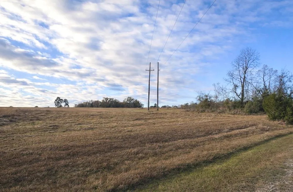 14 Charleston Street Trinity, TX 75862