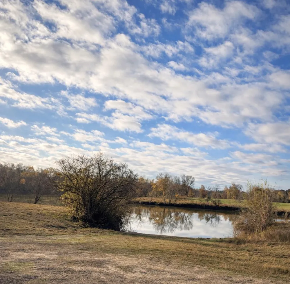 14 Charleston Street Trinity, TX 75862