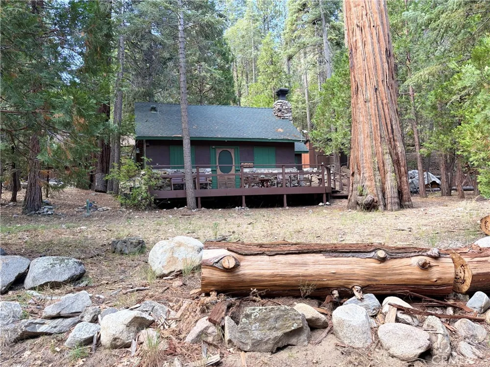 16 South Fork Road Angelus Oaks, CA 92305