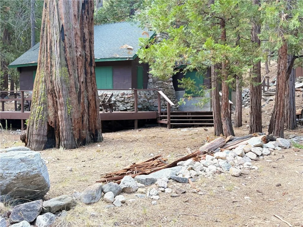 16 South Fork Road Angelus Oaks, CA 92305