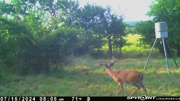 Ti Valley Pass Blanco, OK 74528