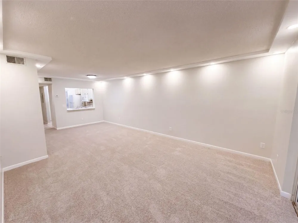 1465 MILLSTREAM LANE #104 Dunedin, FL 34698