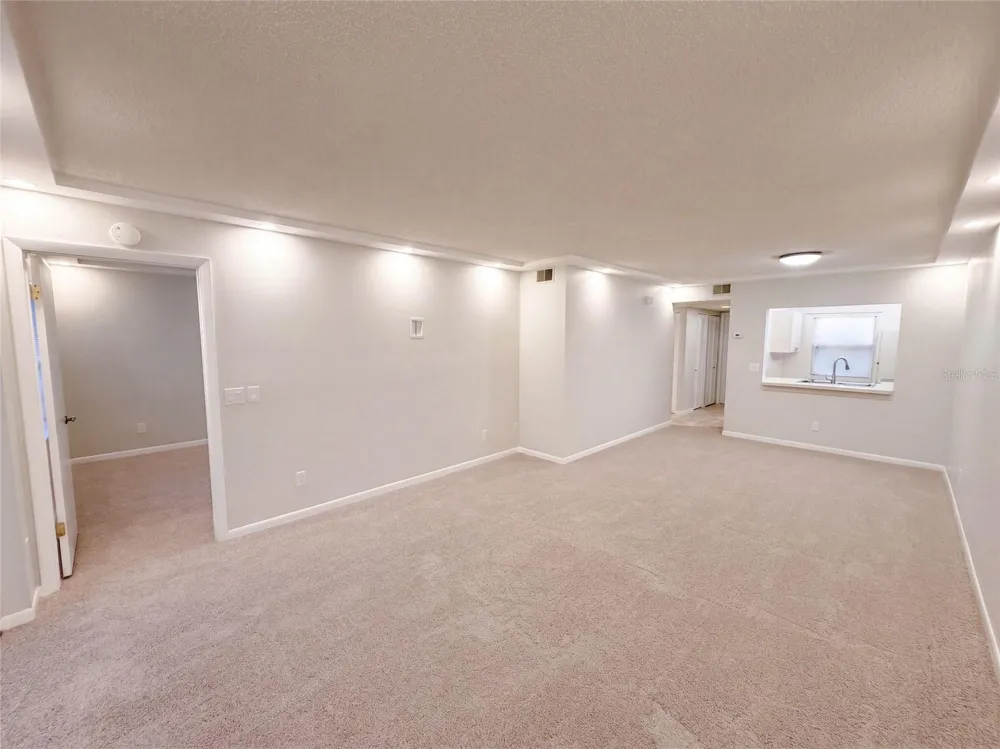 1465 MILLSTREAM LANE #104 Dunedin, FL 34698